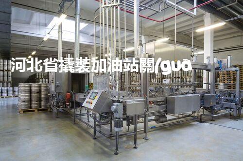 河北省撬裝加油站關(guān)鍵技術(shù)突破！化工廠拆除工程的新方法探索？